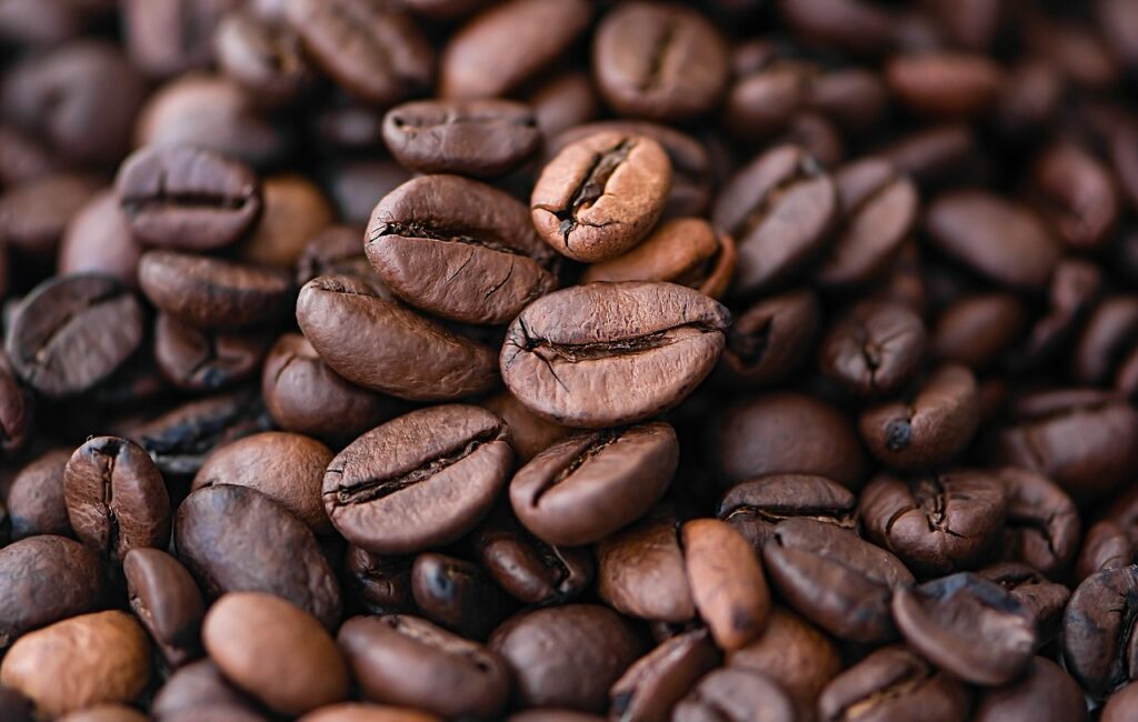 Robusta