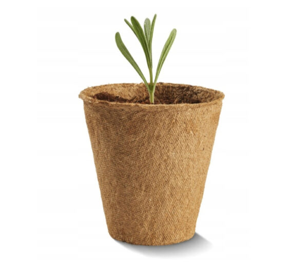 Doniczki do kiełkowania 40 sztuk 6 cm - obrazek 3