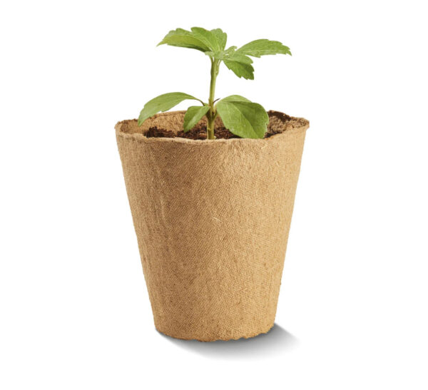 Doniczki do kiełkowania 30 sztuk 8,5 cm - obrazek 3