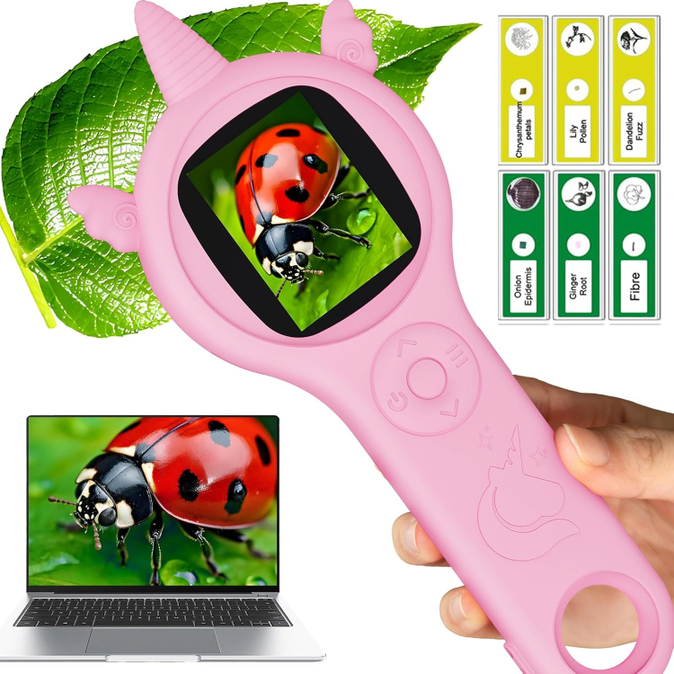 d1d99f210c5fc668d8b35e75b7f877bf