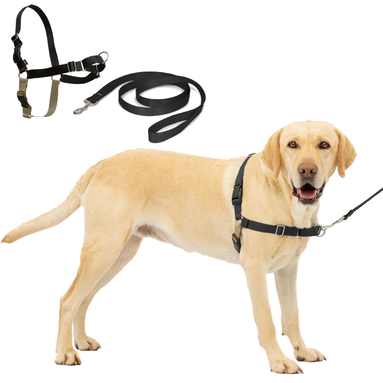 Uprząż dla Psa PetSafe